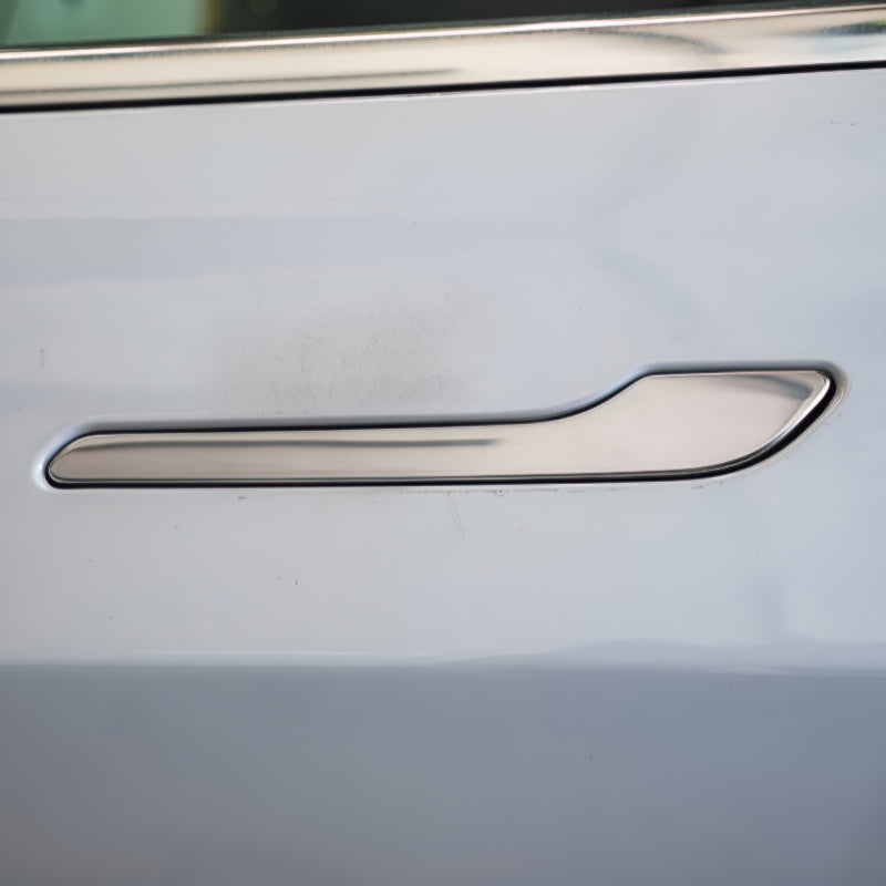 Door Handle Area Protection - PPF for Seal