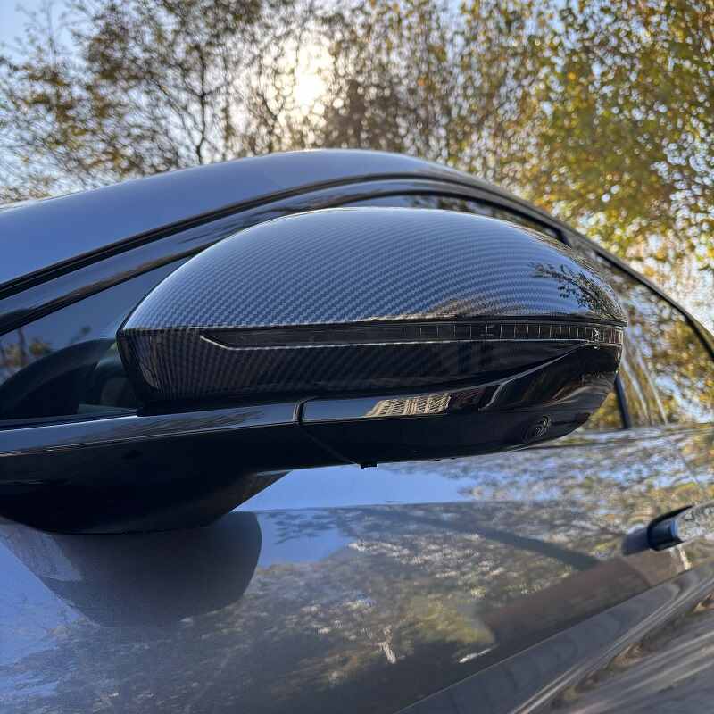 Side Mirror Cover for BYD Sealion 7