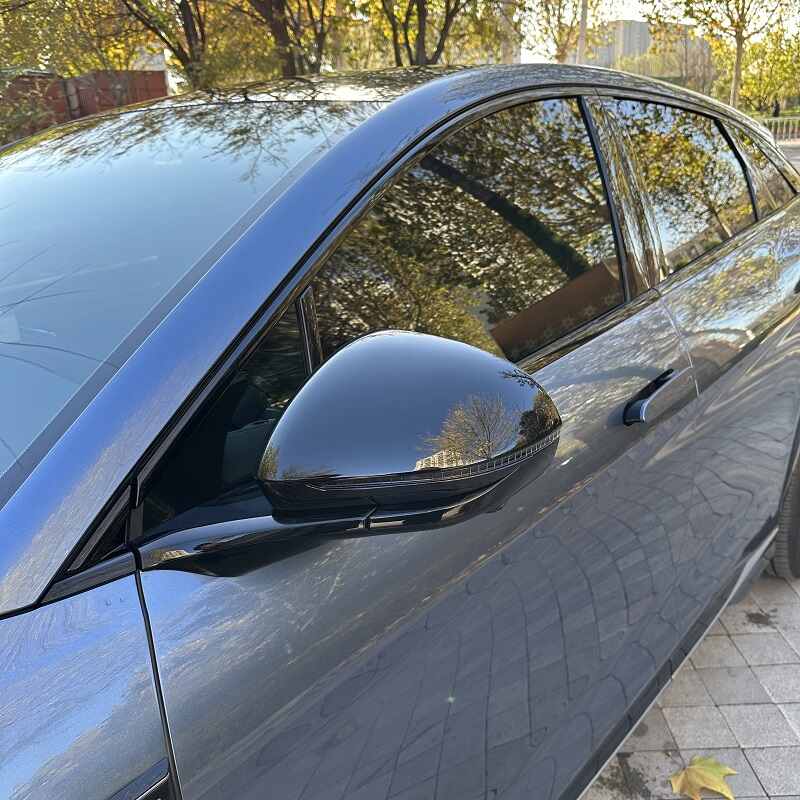 Side Mirror Cover for BYD Sealion 7