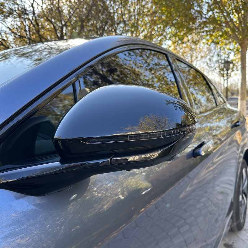 Side Mirror Cover for BYD Sealion 7