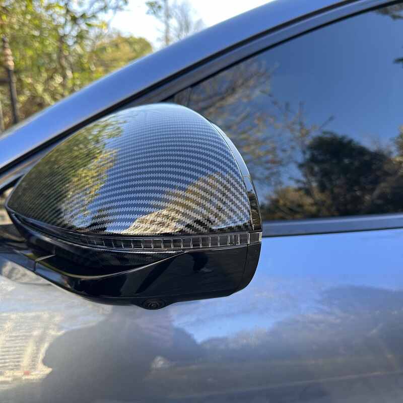 Side Mirror Cover for BYD Sealion 7