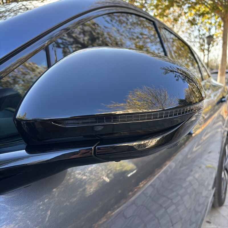 Side Mirror Cover for BYD Sealion 7